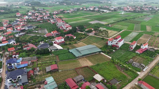 Pigeon Farm Below Green Hills — Shot 2
