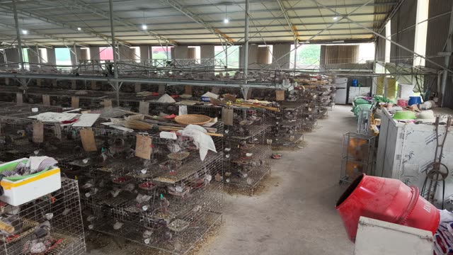 Pigeon Breeding Cages — Shot 1