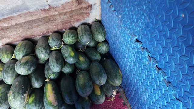 Melons Packed Against Truck Side