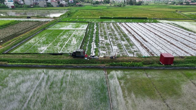 Patchwork Of Paddies And Melon Plots