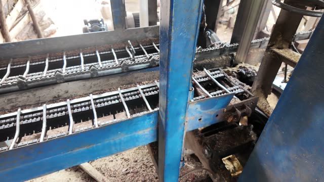 Sawmill Conveyor Chain Detail