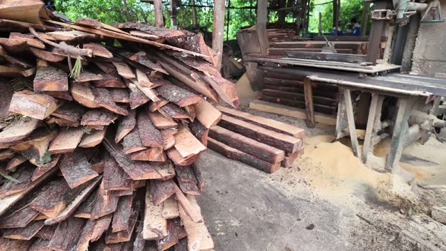 Tree Bark Pile And Sawn Timber