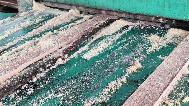 Sawdust On Green Conveyor