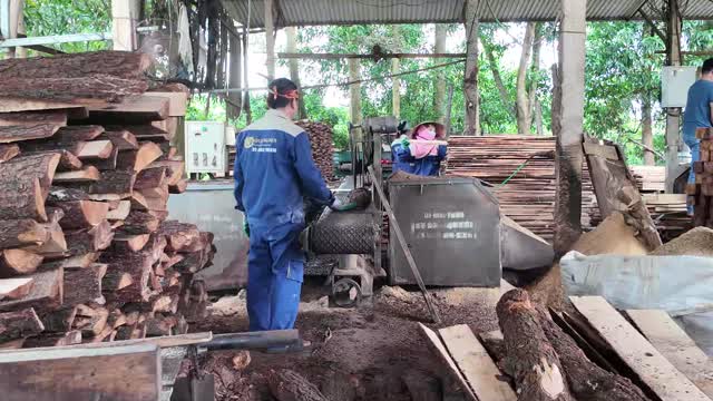 Workers Sawing Logs Under Shed