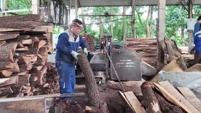 Worker Holding Log At Saw