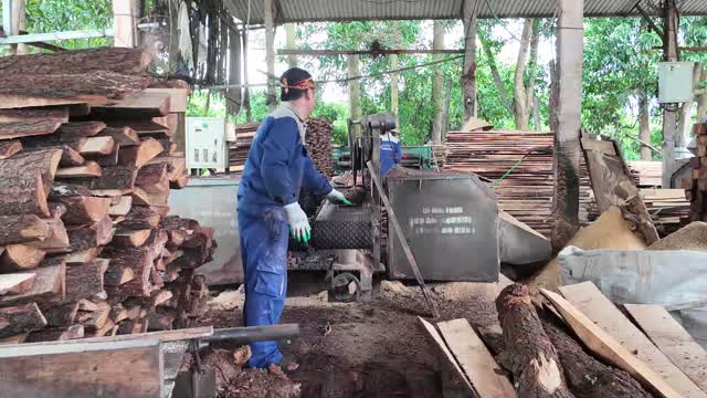 Feeding Log Into Band Saw
