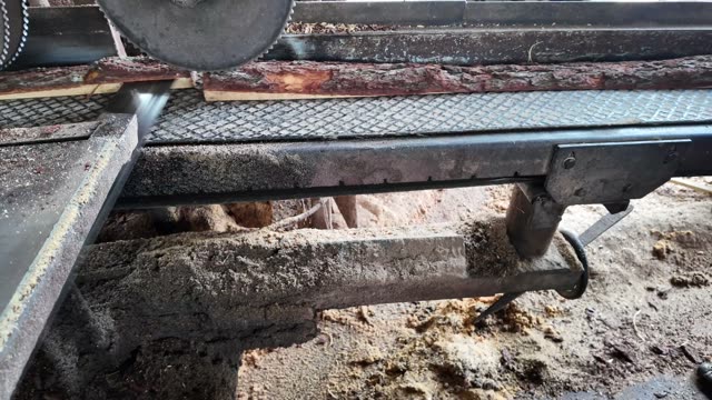 Saw Blade Cutting Timber
