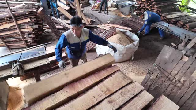 Handling Sawn Timber Boards