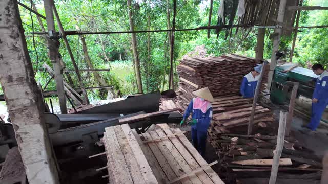 Riverside Sawmill Stacking Planks