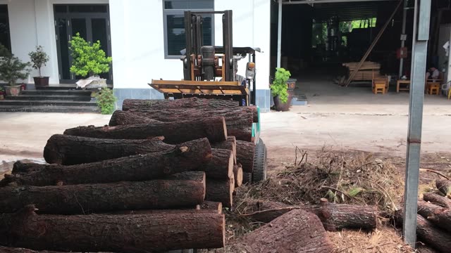 Forklift Moving Timber Logs