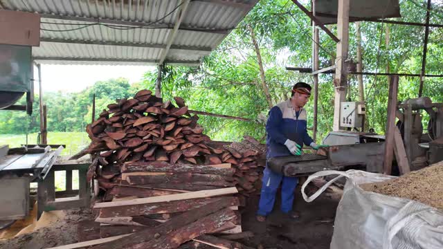 Loading Wood Offcuts By Hand