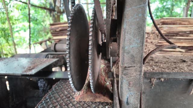 Circular Saw Blades Close Up