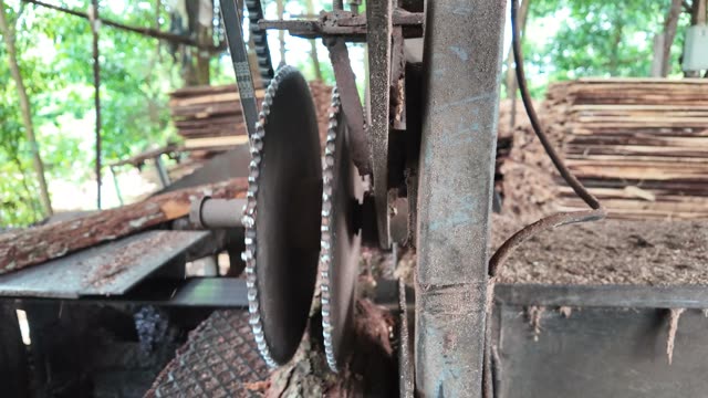 Sawmill Saw Blade Close Up