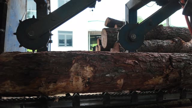 Bandsaw Cutting Pine Log