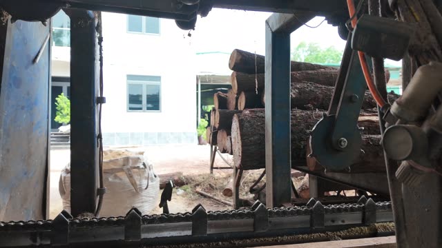 Log Stacks In Mill Yard