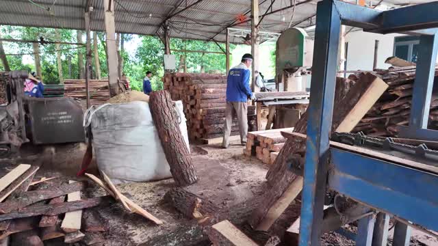 Rural Sawmill Yard Overview