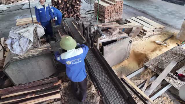 Workers Operating Saw Conveyor