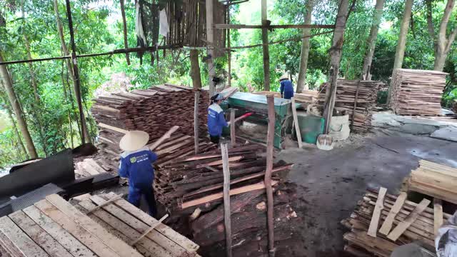 Outdoor Timber Cutting Workshop