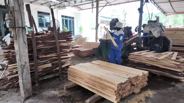Worker Sorting Fresh Sawn Planks