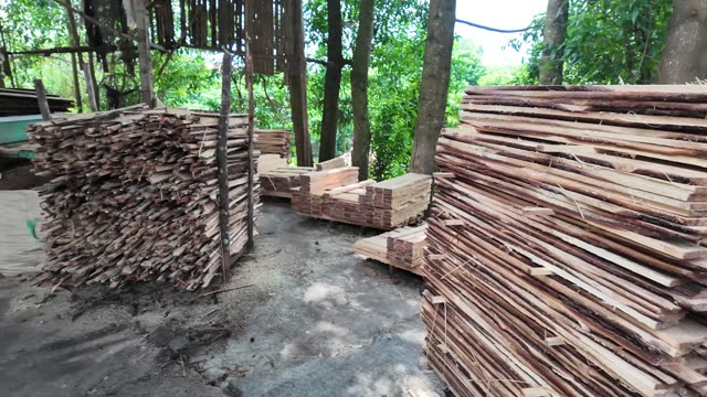 Stacked Sawn Timber Yard