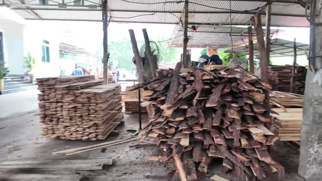 Drying Timber Plank Piles