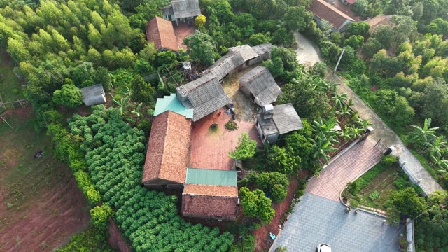 Green Hillside Village Homestead