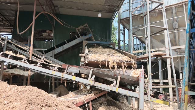 Wood Chip Conveyor Feed
