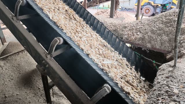 Wood Chip Conveyor Feed