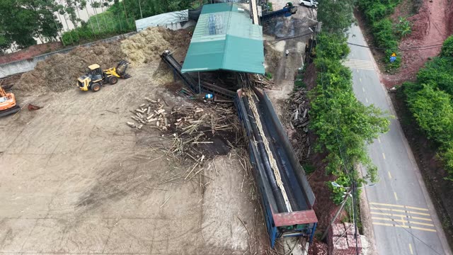 Bark Strips On Conveyor Belt