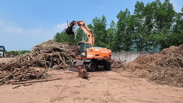 Excavator Loading Timber Logs