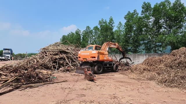 Grapple Lifting Wood Pile