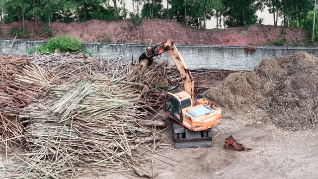Loader And Conveyor In Timber Yard