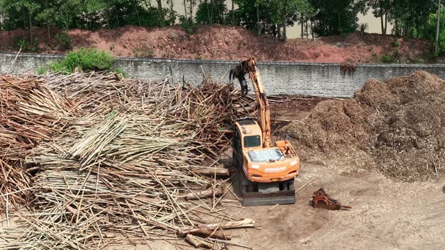 Timber Yard Beside Road