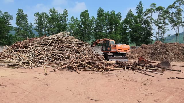 Grapple Lifting Wood Pile