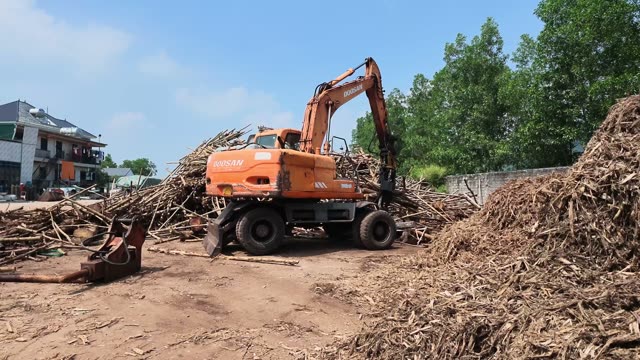Excavator Loading Timber Logs