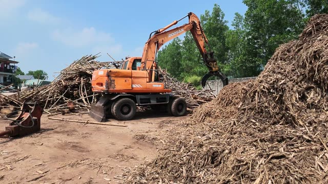 Wheeled Excavator Sorting Logs