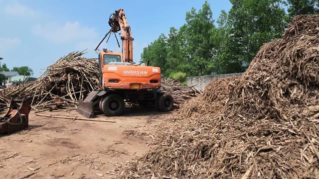 Timber Yard Log Handling