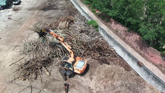 Excavator Sorting Branch Pile
