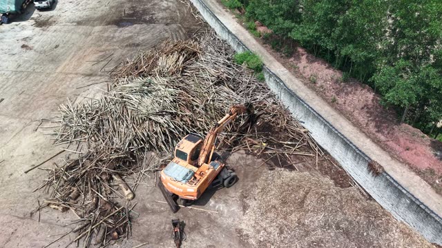 Excavator Clearing Branch Pile