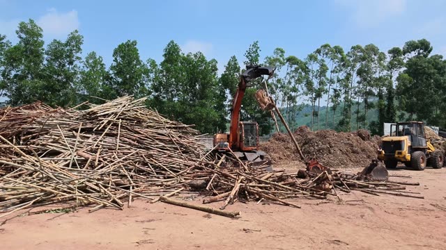 Excavator Loading Timber Logs