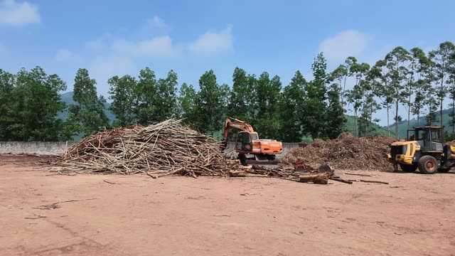 Excavator Loading Timber Logs