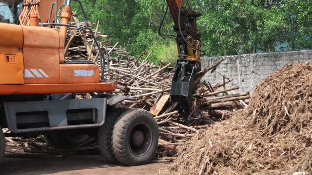 Excavator Loading Timber Logs