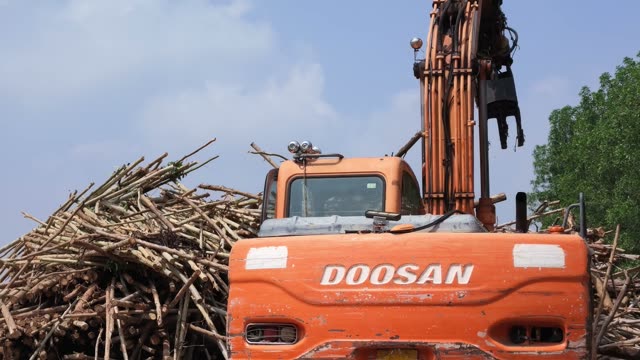 Grapple Lifting Wood Pile