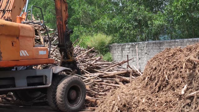 Wheeled Excavator Sorting Logs