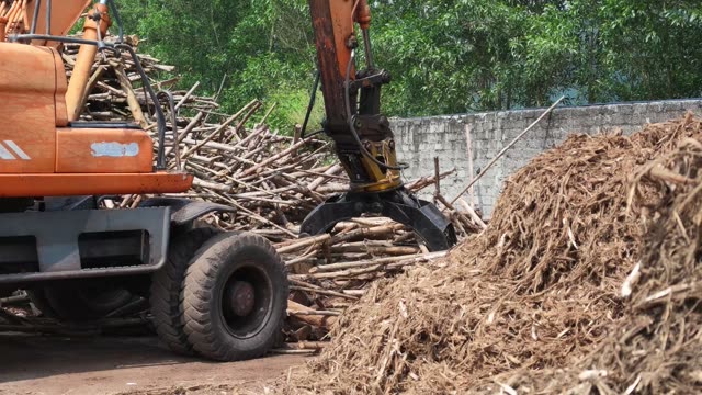 Timber Yard Log Handling