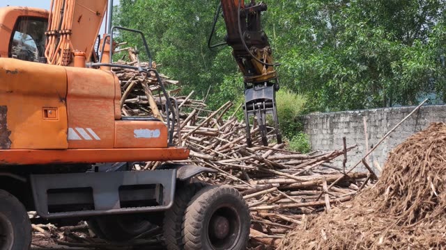 Excavator Loading Timber Logs