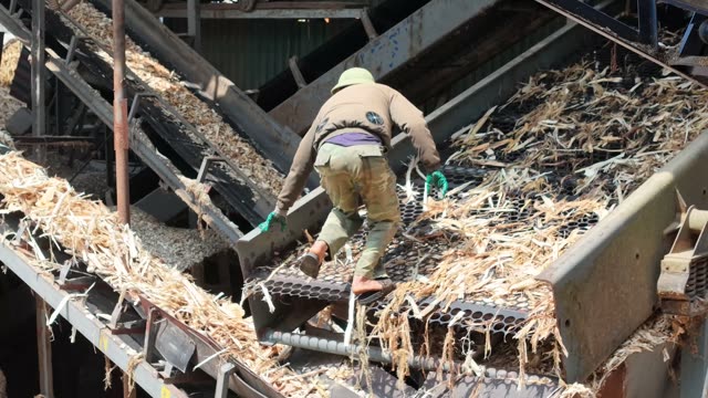 Worker Walking On Conveyor Grate