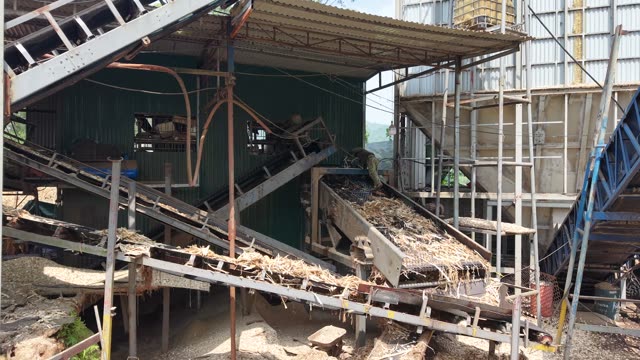 Conveyor Structure At Timber Yard