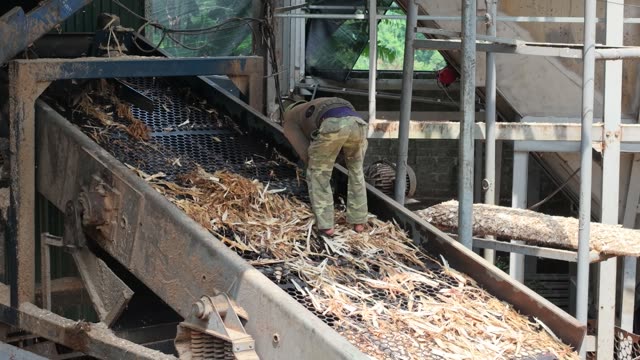 Man Standing On Chip Conveyor