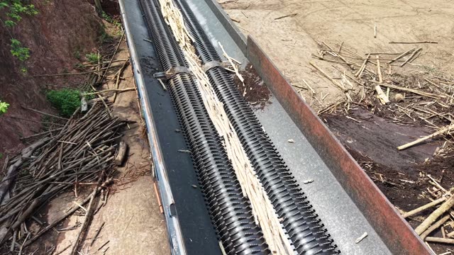 Worker Clearing Conveyor Belt